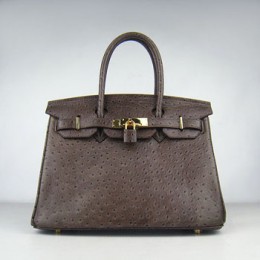 Hermes Birkin 30Cm Ostrich Stripe Handbags Dark Coffee Gold